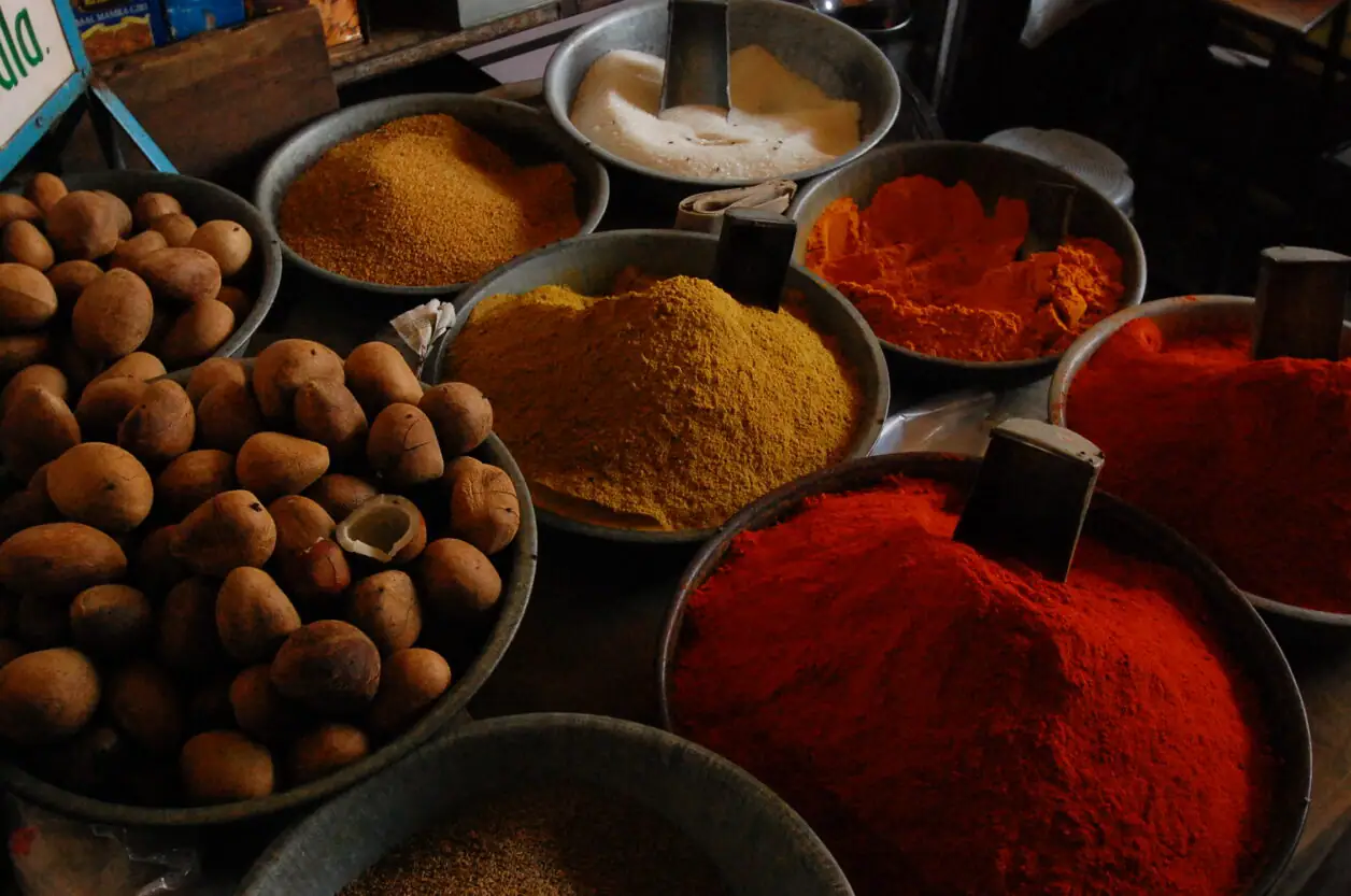 DSC_3250-e1651216084151