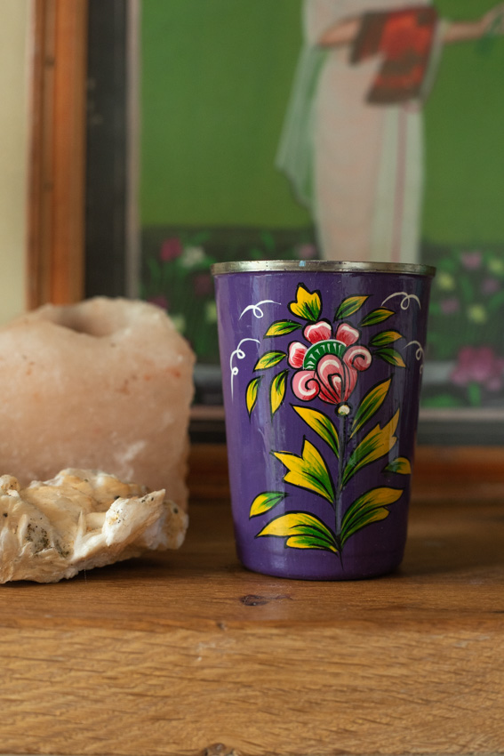 _DSC0669 Beker Rajasthan