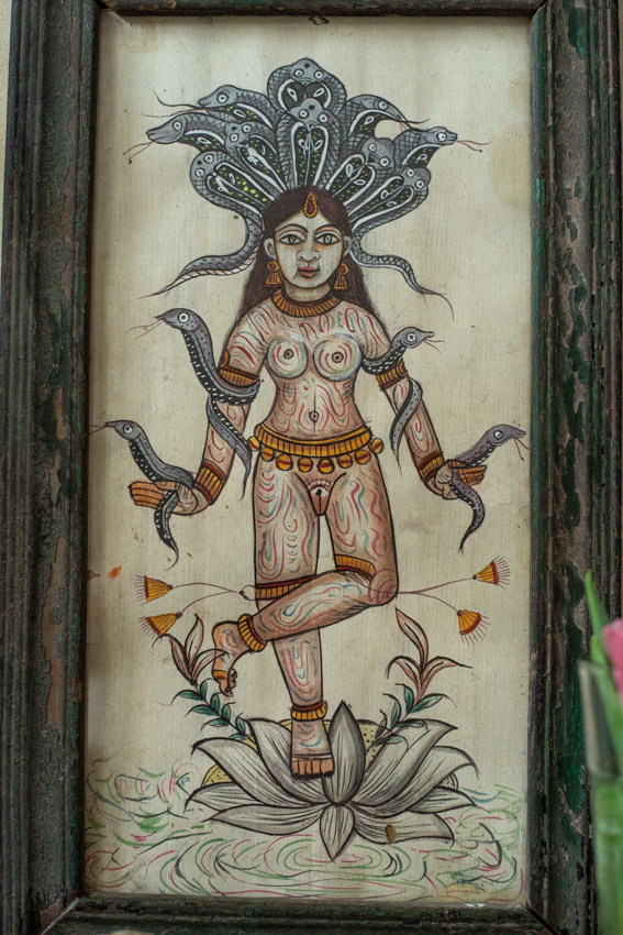 _DSC4057 Antiek Tantra Snake schilderij