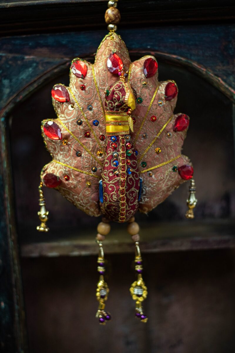 _DSC8193 Kitchy Pauw ( XL )