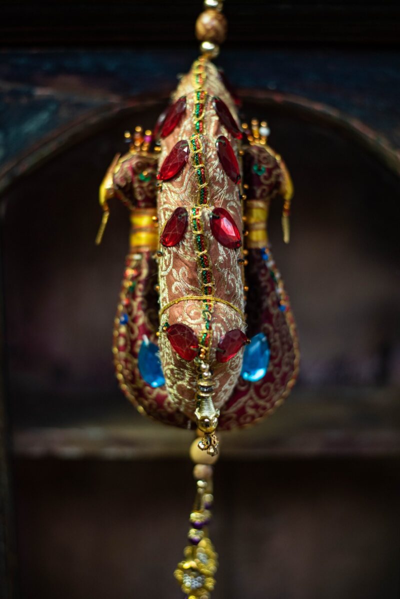 _DSC8194 Kitchy Pauw ( XL )