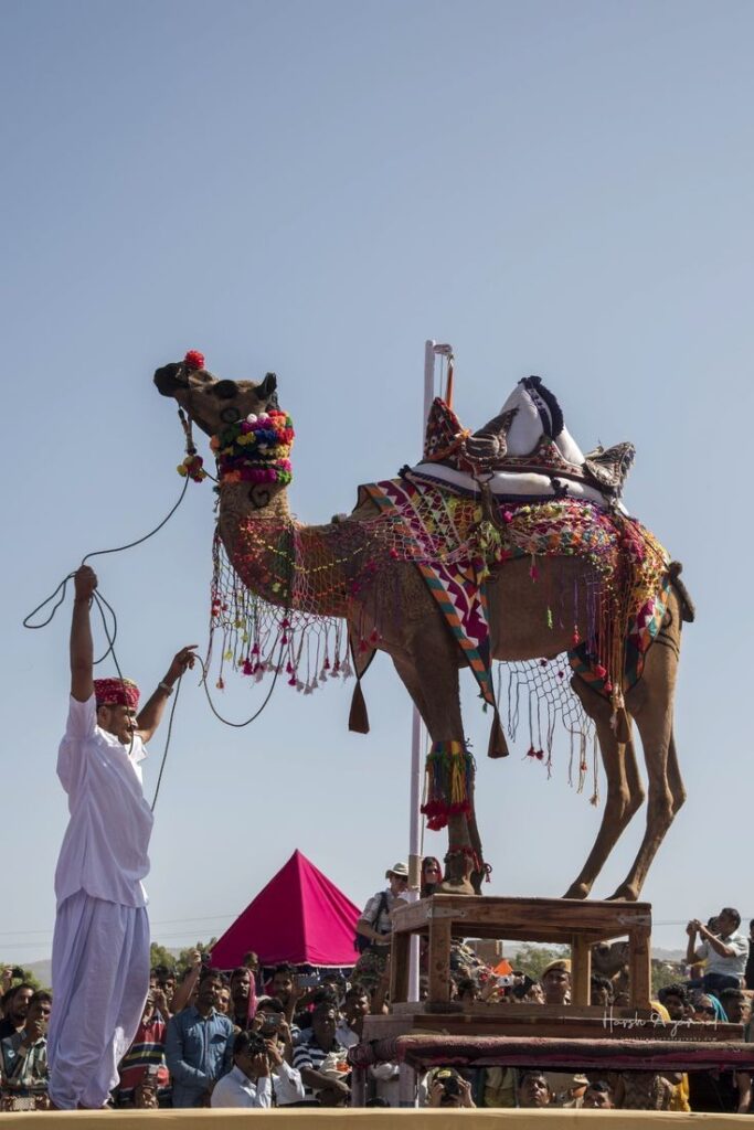 5569a932a27af6477b3647ff8ecc61df-1