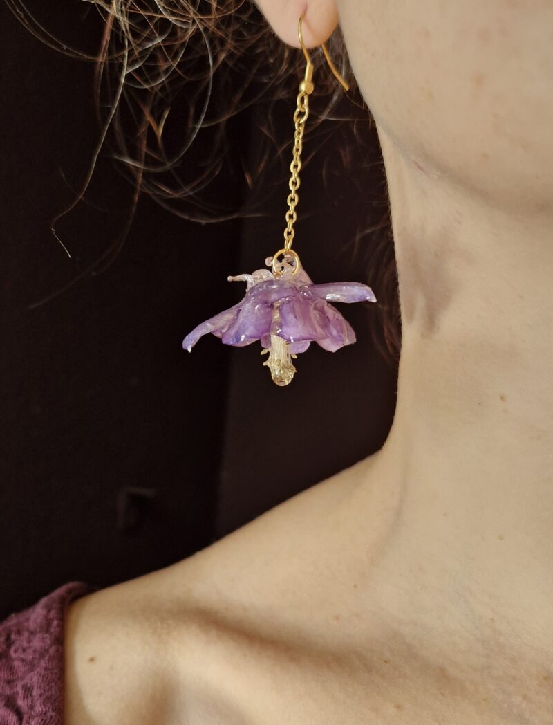 Akelei - paars1 Flower oorbel Akelei (Vulgaris)