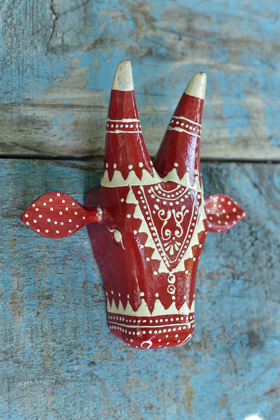 _DSC5724 Holy Cow ( S )