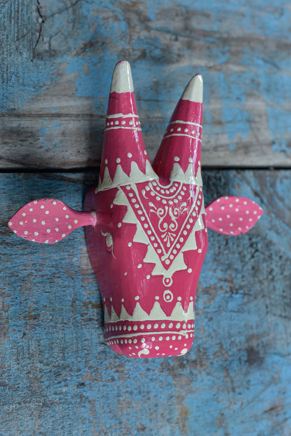 _DSC5728 Holy Cow ( S )