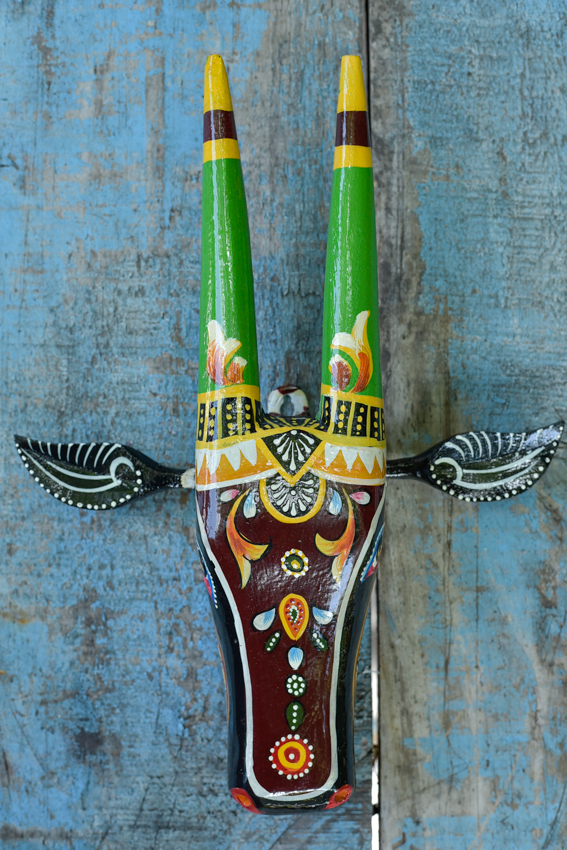 _DSC5749 Holy Cow ( M )