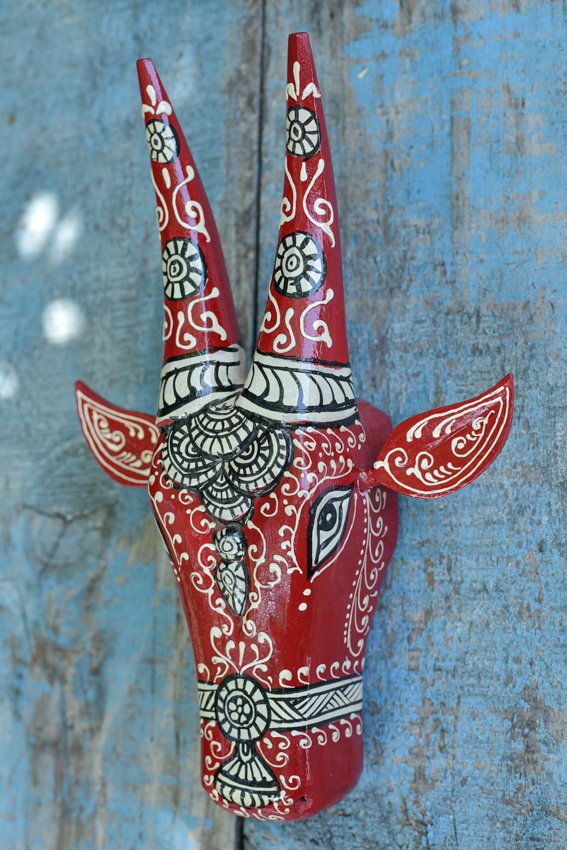 _DSC5755 Holy Cow ( M )