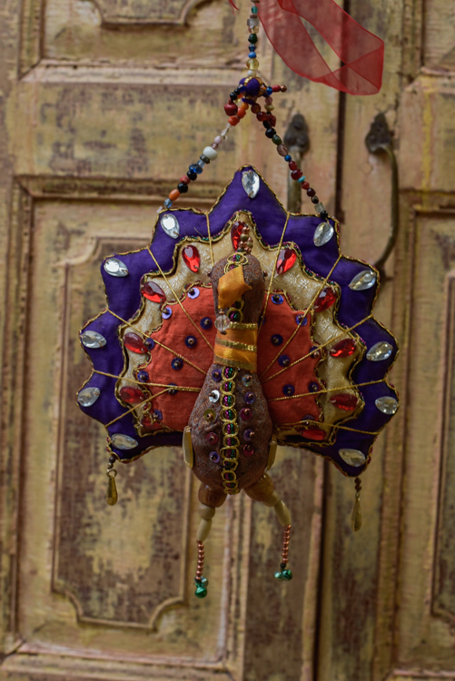 _DSC7182 Kitchy Pauw ( XL )