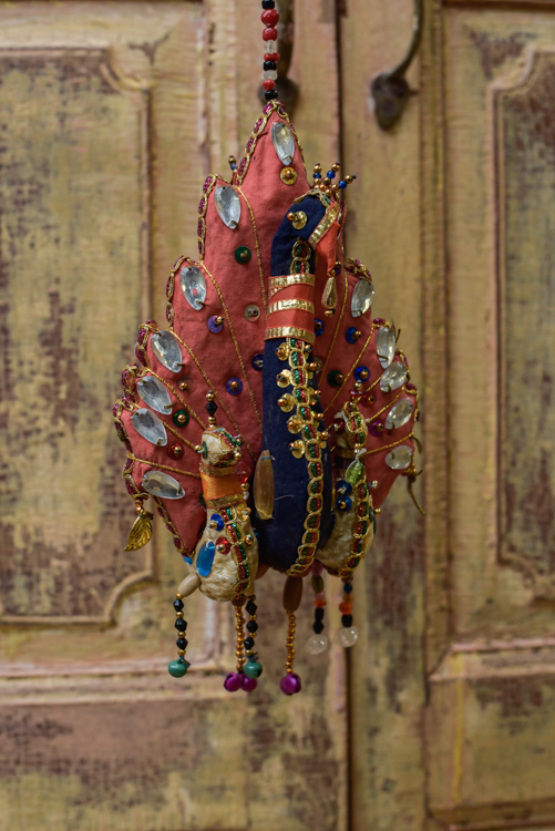 _DSC7186 Kitchy Pauw ( L )