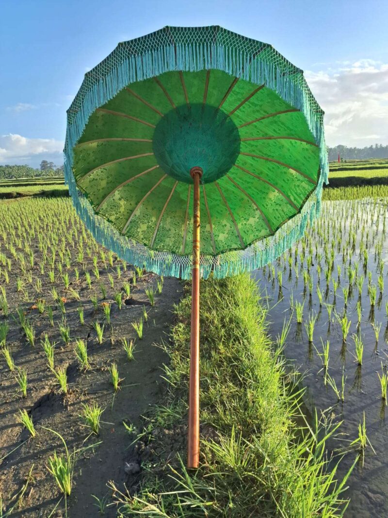 IMG-20250406-WA0047 Bali parasol