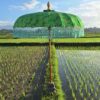 balinese parasol 11 Bali parasol
