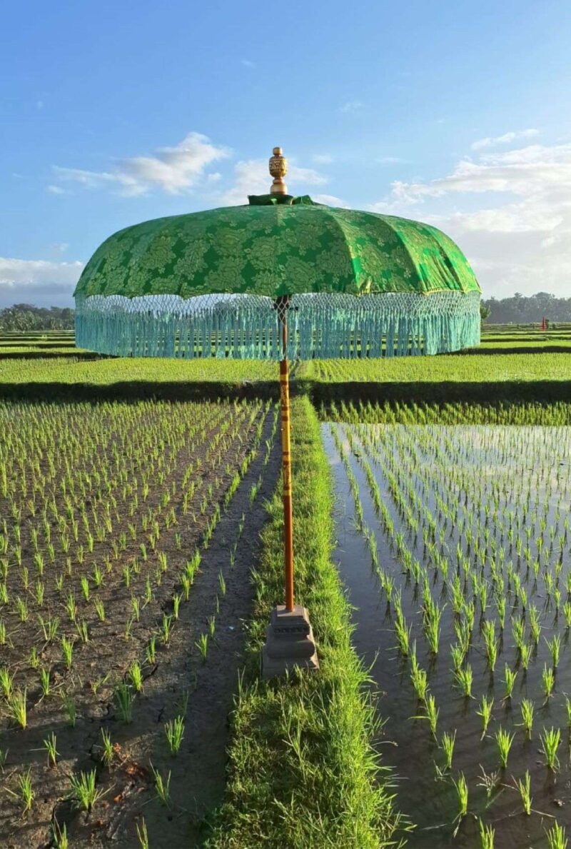 balinese parasol 11 Bali parasol