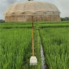 balinese parasol natural 2 Bali parasol natural