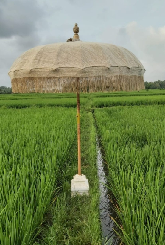 balinese parasol natural 2 Bali parasol natural