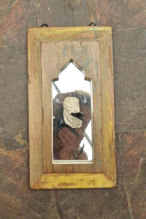 _DSC5280 Mogul spiegeltje