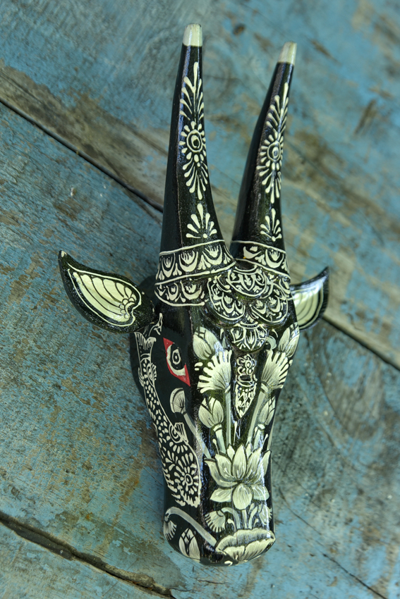 _DSC5813 Holy Cow ( L )