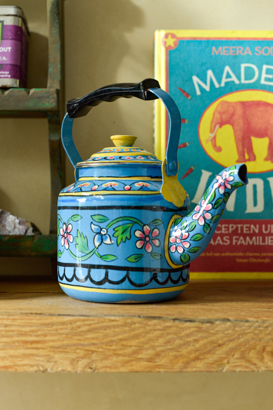 _DSC6381 Theepot Rajasthan