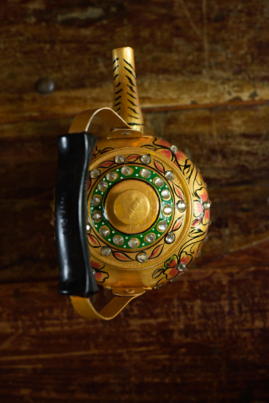 _DSC6396 Theepot Rajasthan