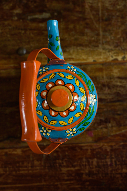 _DSC6397 Theepot Rajasthan