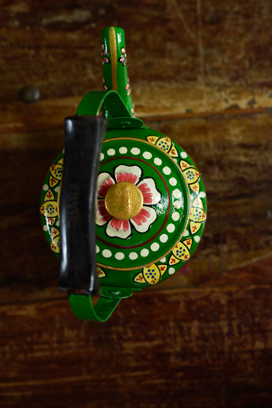 _DSC6398 Theepot Rajasthan