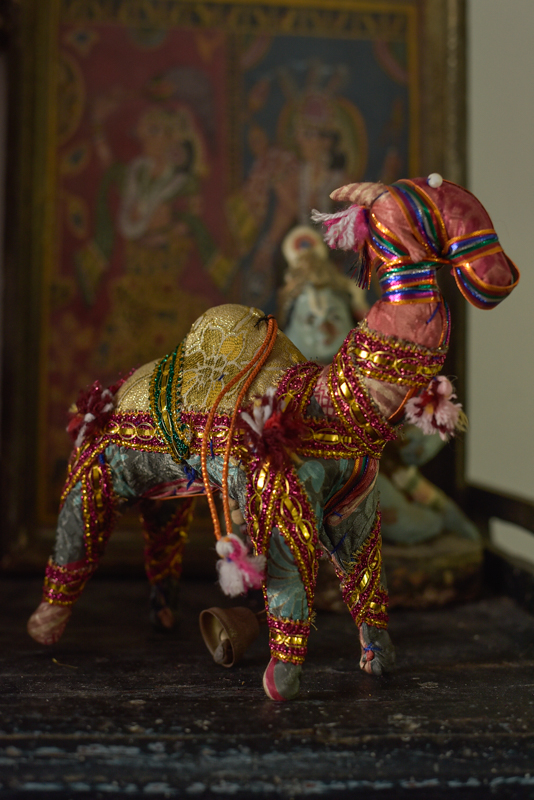 _DSC6619 Vintage Indian Camel