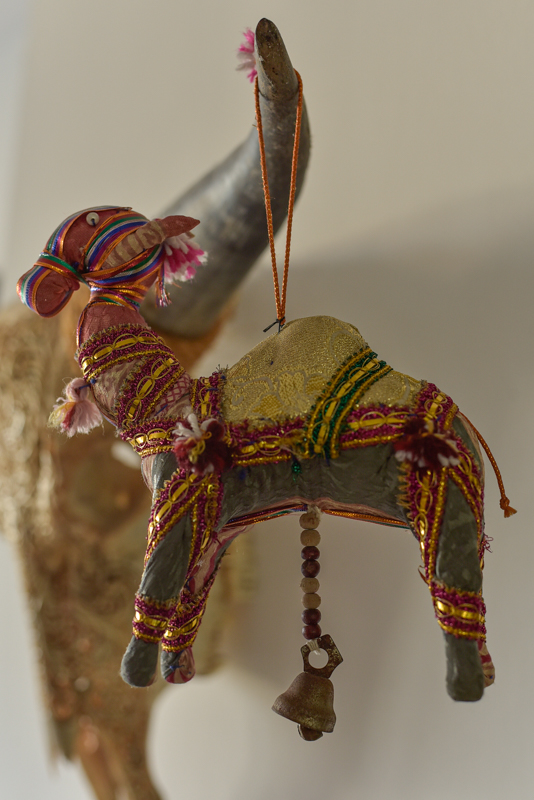 _DSC6621 Vintage Indian Camel