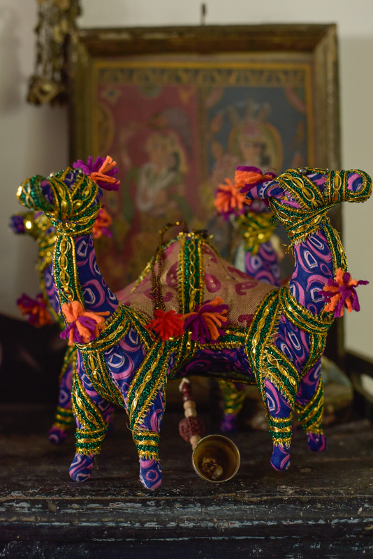 _DSC6633 Vintage Indian Camel XL