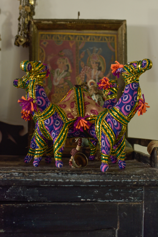 _DSC6635 Vintage Indian Camel XL