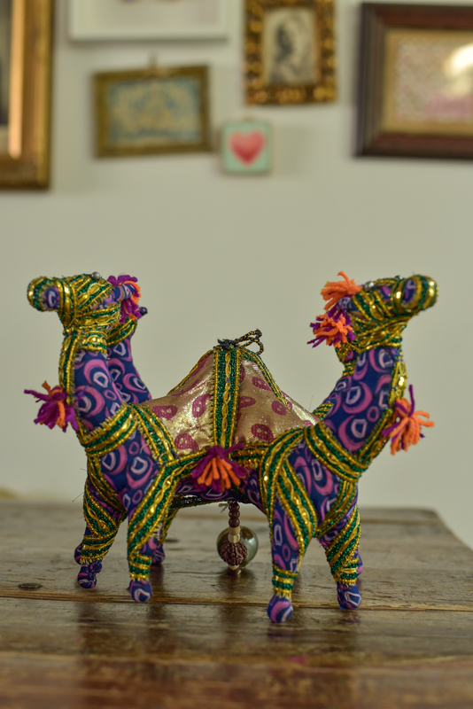 _DSC6642 Vintage Indian Camel XL