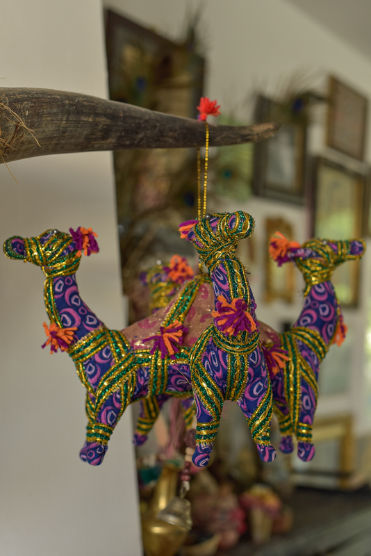 _DSC6643 Vintage Indian Camel XL