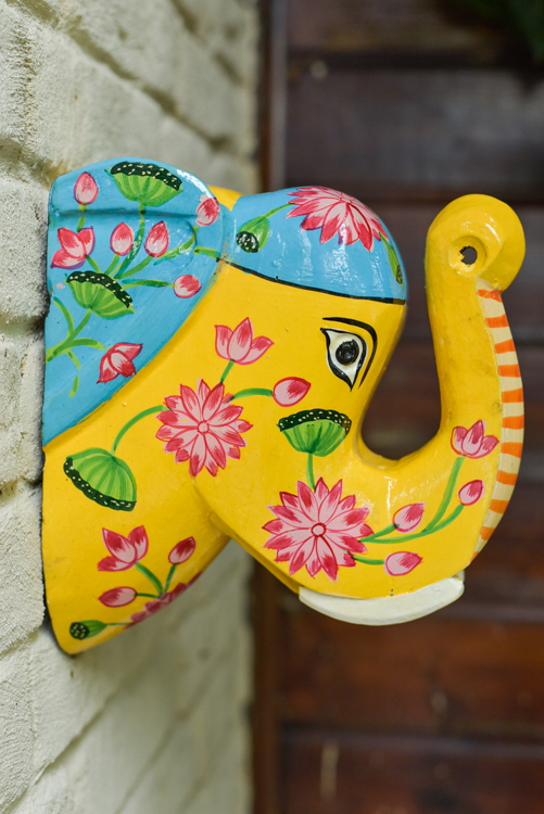 _DSC6847 Happy Elephant