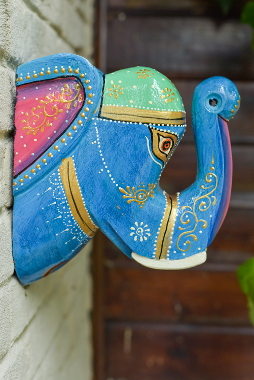 _DSC6850 Happy Elephant