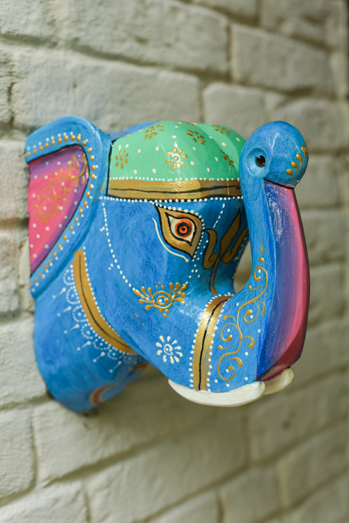 _DSC6851 Happy Elephant