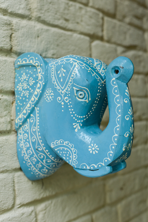 _DSC6855 Happy Elephant