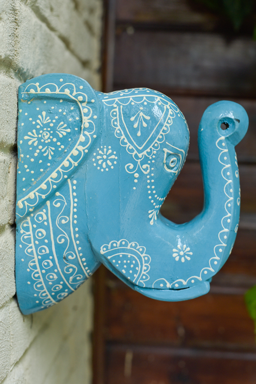 _DSC6856 Happy Elephant