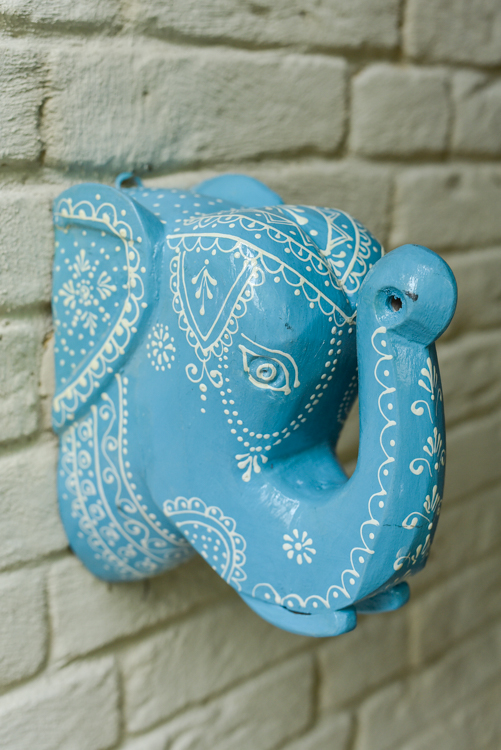 _DSC6857 Happy Elephant