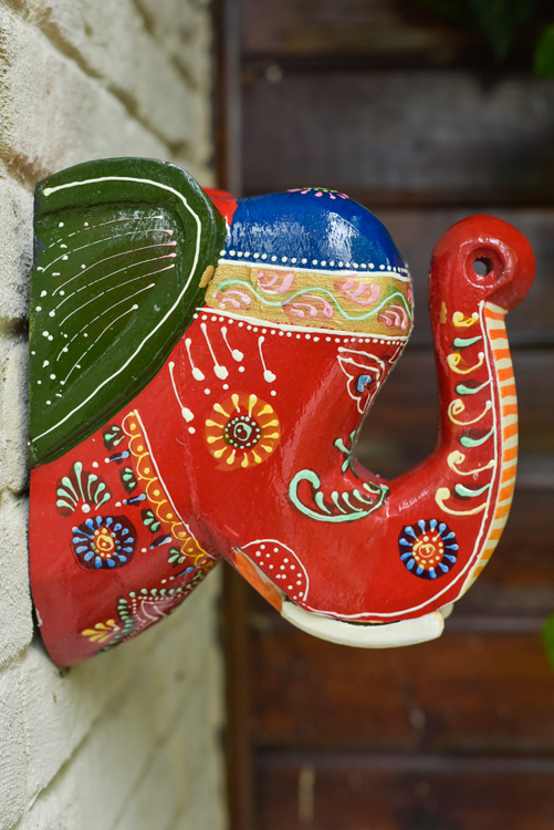 _DSC6863 Happy Elephant